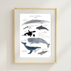 Art Print "Wale und Delfine" A5/A4