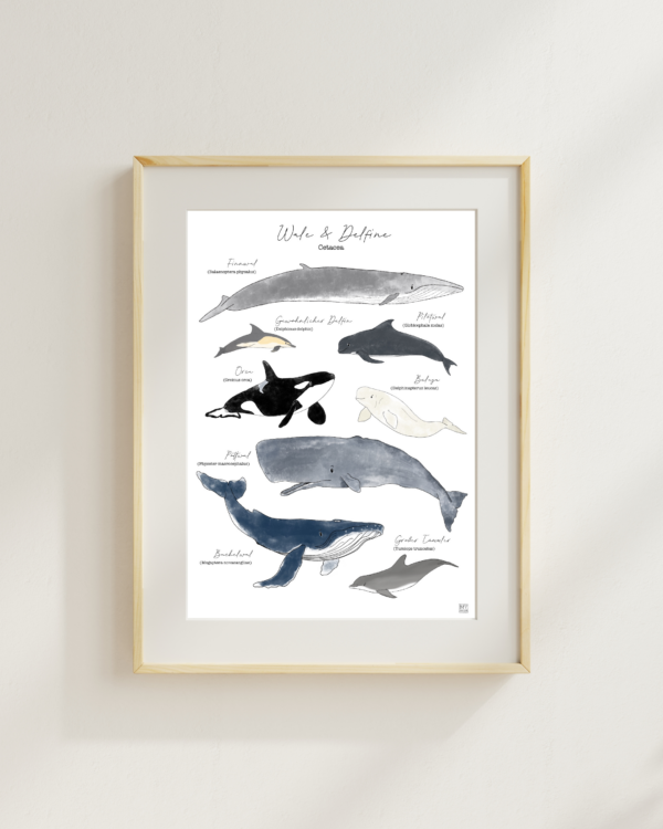 Art Print "Wale und Delfine" A5/A4