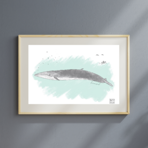 Art Print "Finnwal" A5