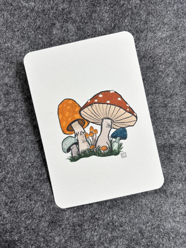 Postkarte "Pilze" – Bild 2