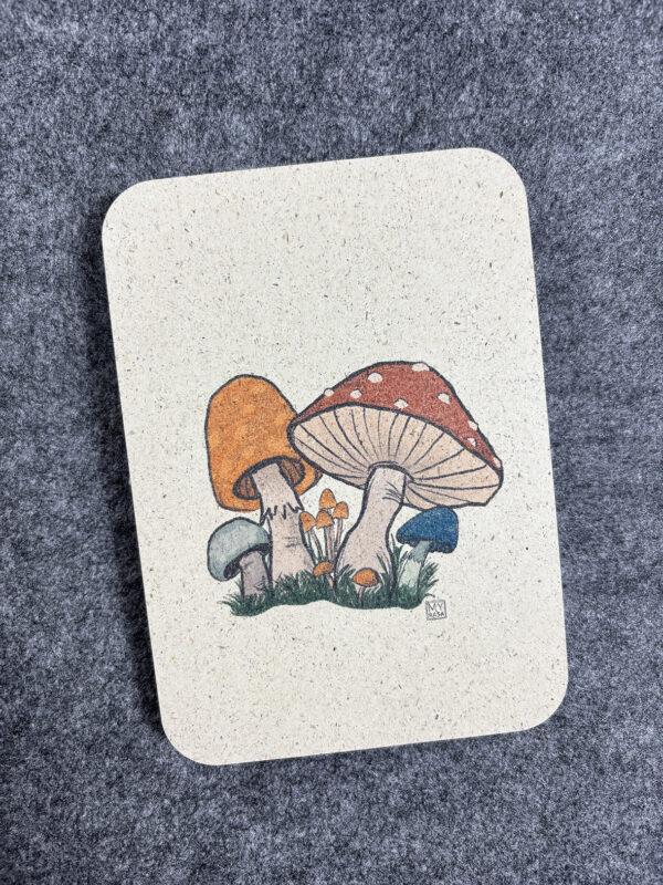Graspapier Postkarte "Pilze"