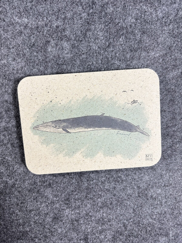 Graspapier Postkarte "Finnwal"