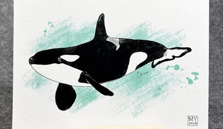 Art Print "Orca"