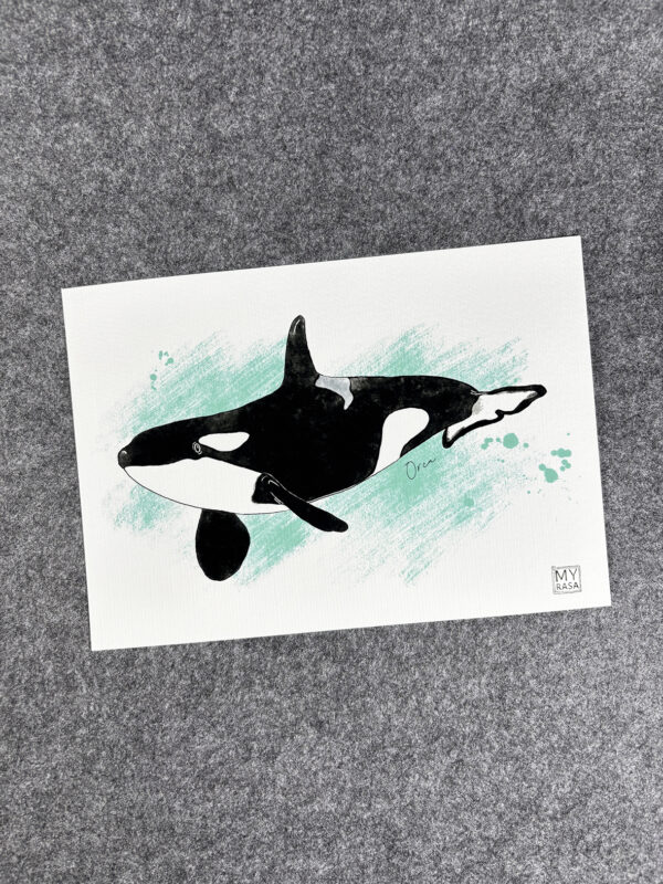 Art Print "Orca" A5 – Bild 3
