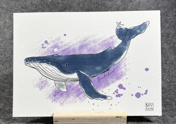 Art Print "Buckelwal"