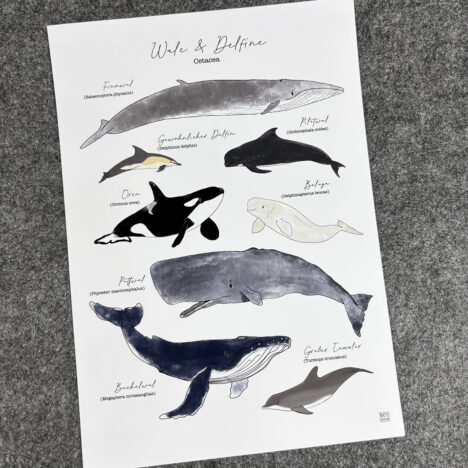 Art Print “Camping”