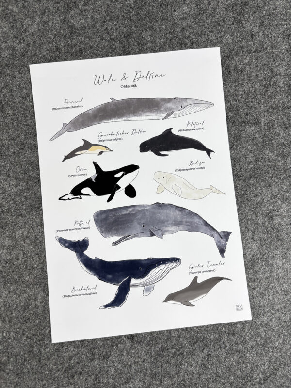 Art Print "Wale und Delfine" A5/A4 – Bild 2