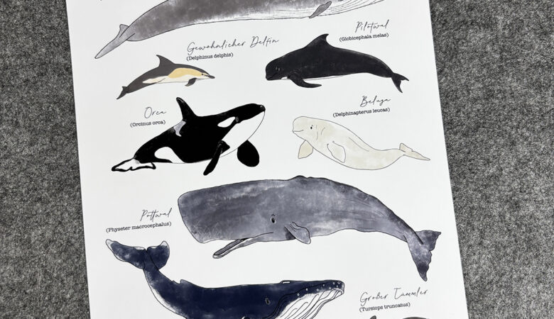 Poster "Wale & Delfine"