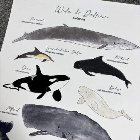 Art Print “Wal” (A5, A4)