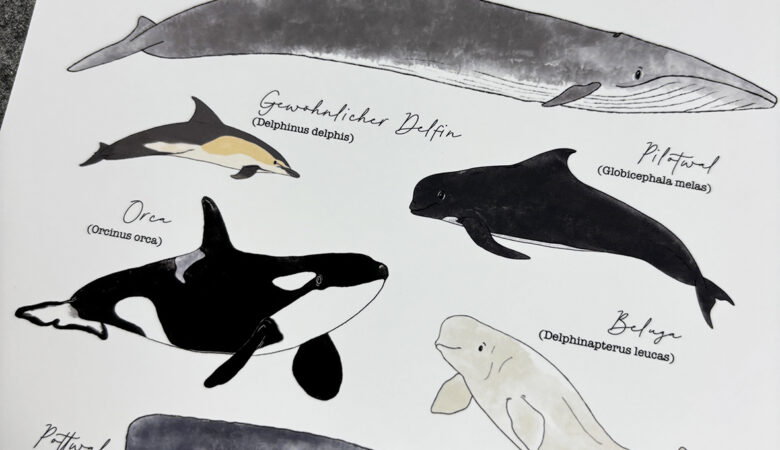 Poster "Wale & Delfine"