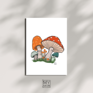 Postkarte "Pilze"