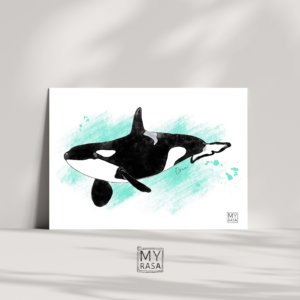 Postkarte "Orca"