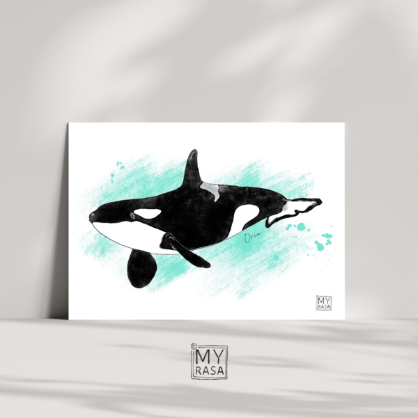 Postkarte "Orca"