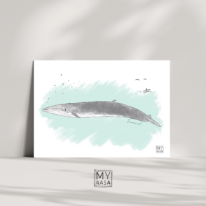 Postkarte "Finnwal"